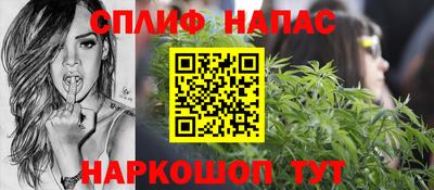 мяу мяу мука Ачхой-Мартан