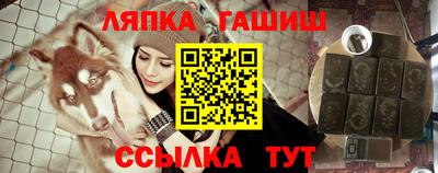 мяу мяу мука Ачхой-Мартан